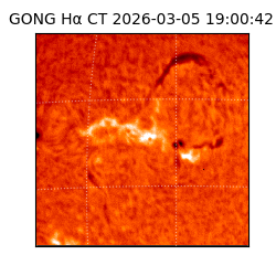 gong - 2026-03-05T19:00:42