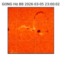 gong - 2026-03-05T23:00:02