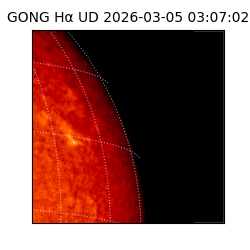gong - 2026-03-05T03:07:02