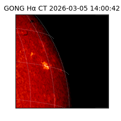 gong - 2026-03-05T14:00:42