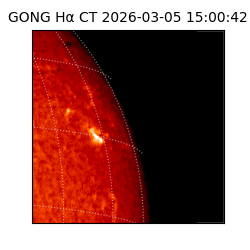 gong - 2026-03-05T15:00:42