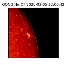 gong - 2026-03-05T22:00:42