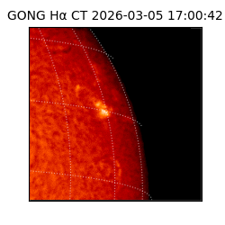 gong - 2026-03-05T17:00:42