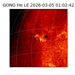 gong - 2026-03-05T01:02:42