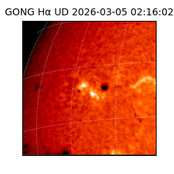 gong - 2026-03-05T02:16:02