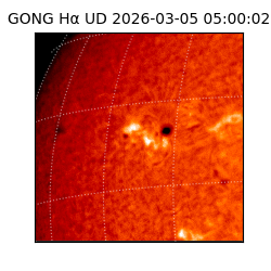 gong - 2026-03-05T05:00:02