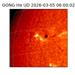 gong - 2026-03-05T06:00:02