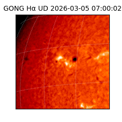 gong - 2026-03-05T07:00:02