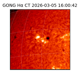 gong - 2026-03-05T16:00:42