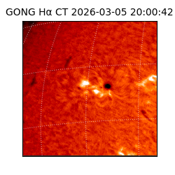 gong - 2026-03-05T20:00:42