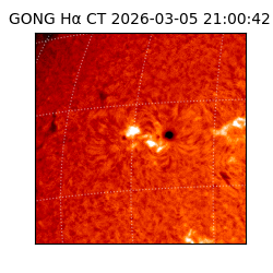 gong - 2026-03-05T21:00:42