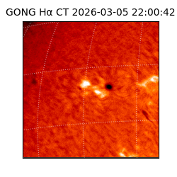 gong - 2026-03-05T22:00:42