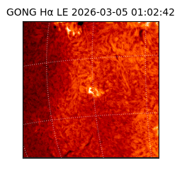 gong - 2026-03-05T01:02:42