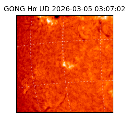 gong - 2026-03-05T03:07:02