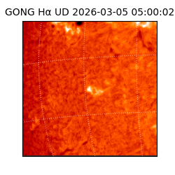 gong - 2026-03-05T05:00:02