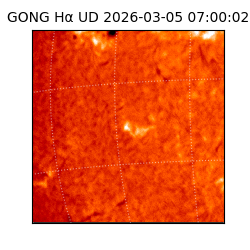 gong - 2026-03-05T07:00:02