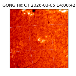 gong - 2026-03-05T14:00:42