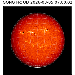 gong - 2026-03-05T07:00:02