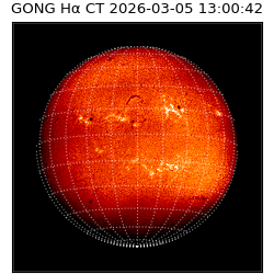 gong - 2026-03-05T13:00:42