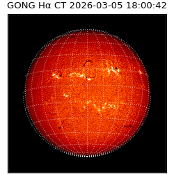 gong - 2026-03-05T18:00:42