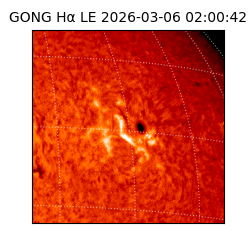 gong - 2026-03-06T02:00:42