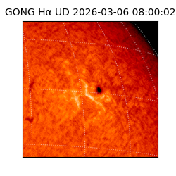 gong - 2026-03-06T08:00:02