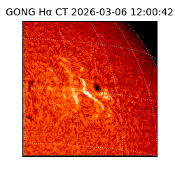 gong - 2026-03-06T12:00:42