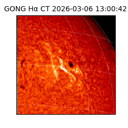 gong - 2026-03-06T13:00:42