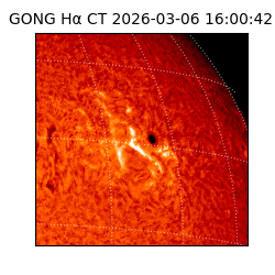 gong - 2026-03-06T16:00:42