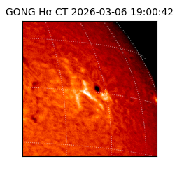 gong - 2026-03-06T19:00:42