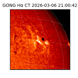 gong - 2026-03-06T21:00:42