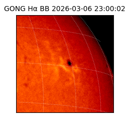 gong - 2026-03-06T23:00:02