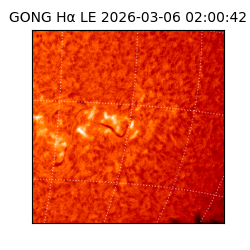 gong - 2026-03-06T02:00:42