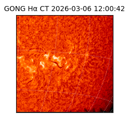 gong - 2026-03-06T12:00:42