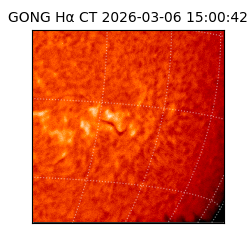 gong - 2026-03-06T15:00:42