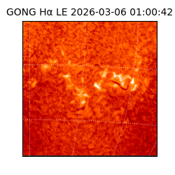 gong - 2026-03-06T01:00:42