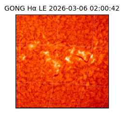 gong - 2026-03-06T02:00:42