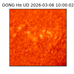 gong - 2026-03-06T10:00:02