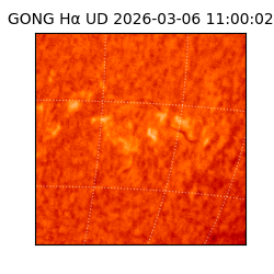 gong - 2026-03-06T11:00:02