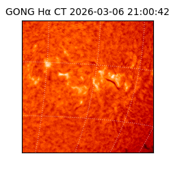 gong - 2026-03-06T21:00:42