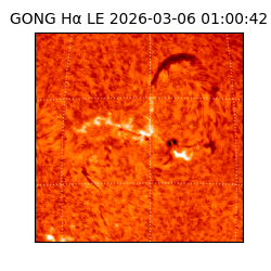 gong - 2026-03-06T01:00:42