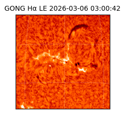 gong - 2026-03-06T03:00:42