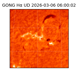 gong - 2026-03-06T06:00:02