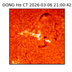gong - 2026-03-06T21:00:42