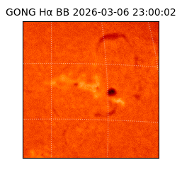 gong - 2026-03-06T23:00:02