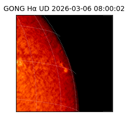 gong - 2026-03-06T08:00:02