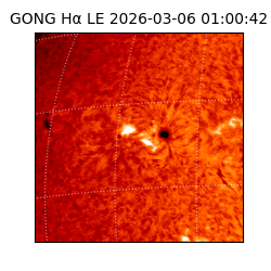 gong - 2026-03-06T01:00:42