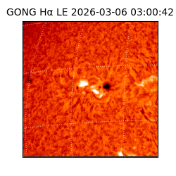 gong - 2026-03-06T03:00:42