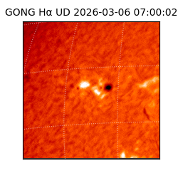 gong - 2026-03-06T07:00:02