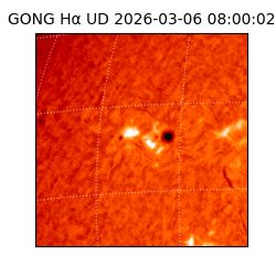 gong - 2026-03-06T08:00:02